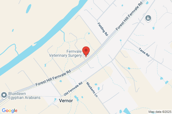 Anthony P  SMITH ,Fernvale Veterinary Surgery