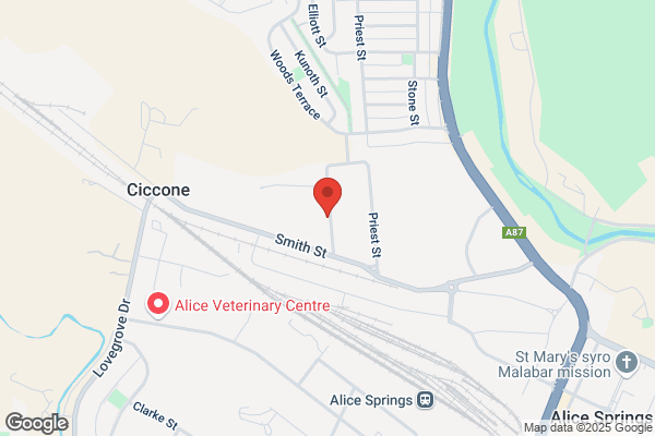 Alice Car Rental