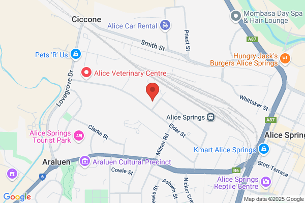 Alice Springs Diesel Repairs