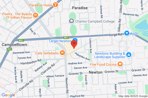Domino's Pizza Newton