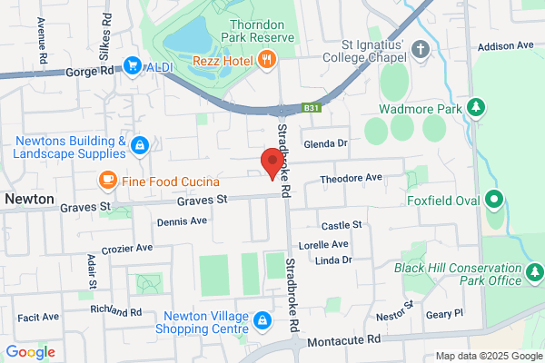 Adelaide Motor Body Repairs