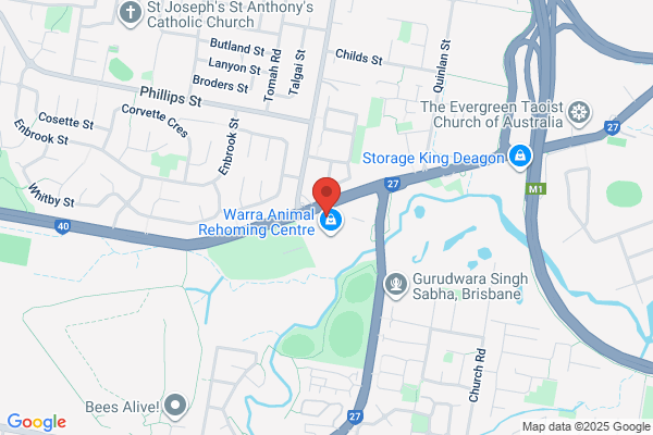 Brisbane Municipal Pools