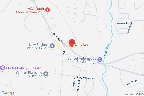Cheeky's Hair Design