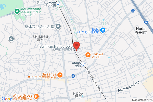 Bujinkan Kokusai Dojo