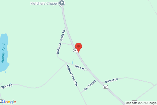 Vivid Smiles