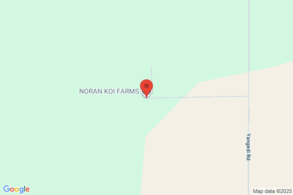 Western Australia Nishikigoi Farm
