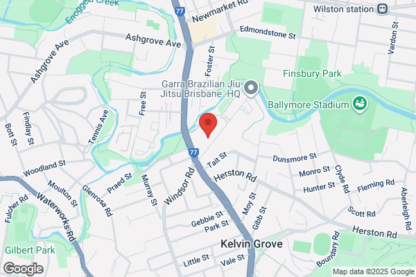 Thallon Mole Group Pty Ltd