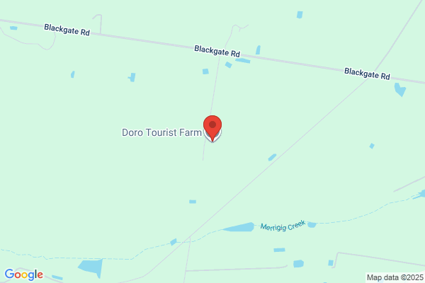 D'Oro Tourist Farm