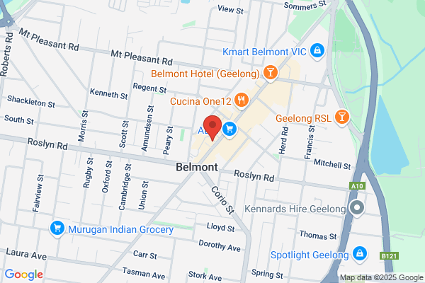 Bella Rose Belmont Florist