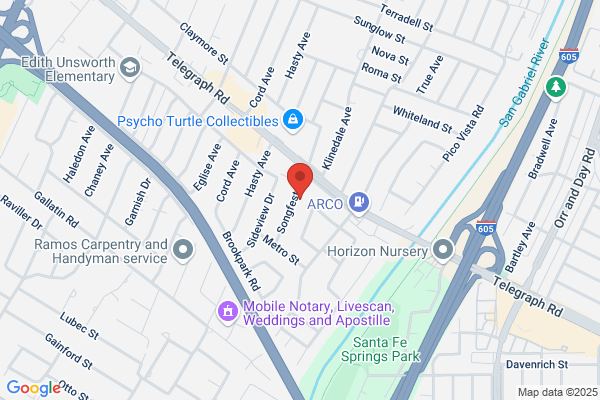 Blinds By Design