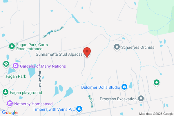Gunnamatta Stud Alpacas