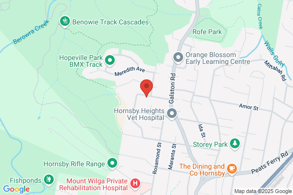Hornsby Heights Physiotherapy