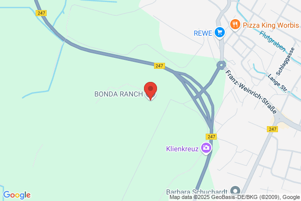 Bonda - Wedding Music Bands