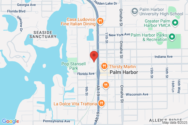 Absolute Tree Lopping & Palm Cleaning
