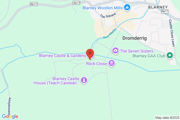 Blarney Stone BYO Restaurant The