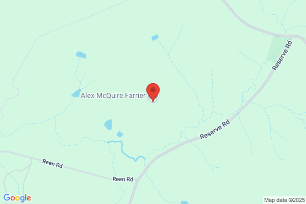 Alex McQuire Farrier