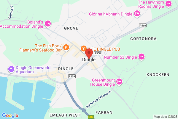 Dingle D E & M D