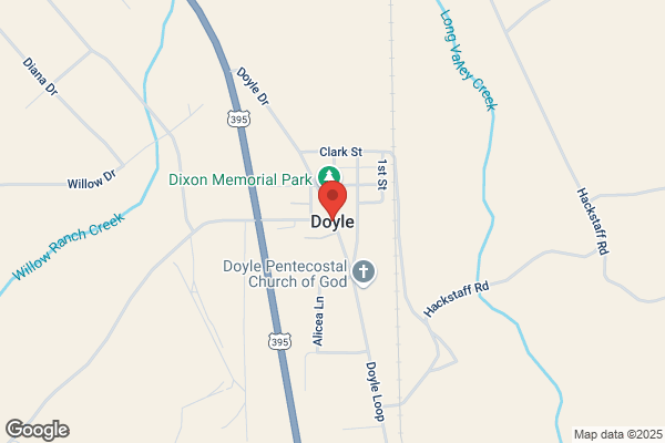 Doyle, Joanna