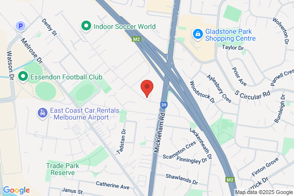 Auto Repairs Motor Mechanics