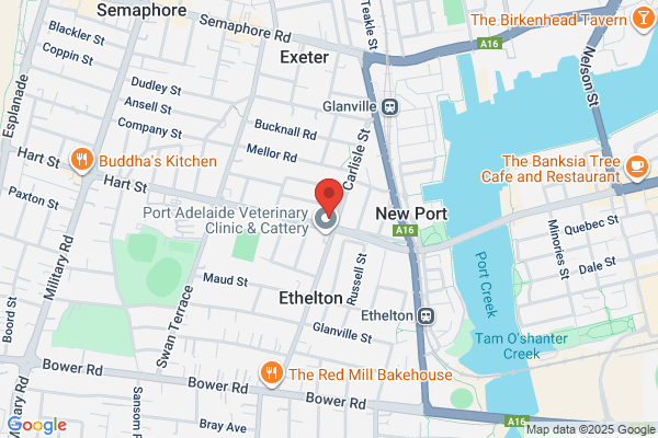 Adelaide Foot and Ankle