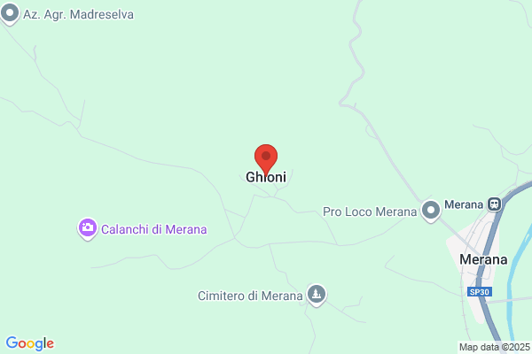 Ghioni W R