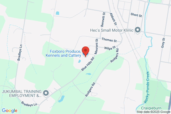 Foxboro Boarding Kennels & Cattery