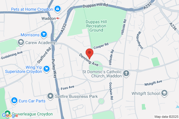 Champion Landscapes