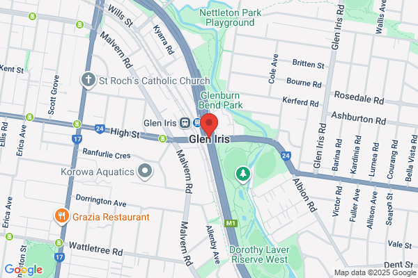 Australian Naturopathic Practitioners Association