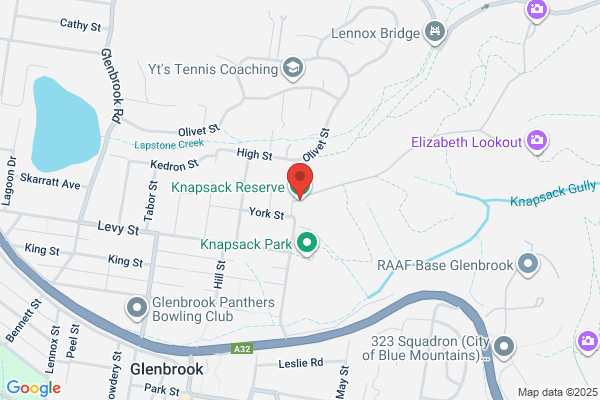 Bushband Ringbark