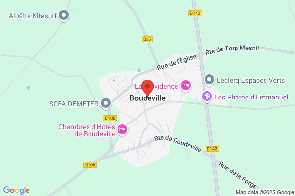 Boudville Paul