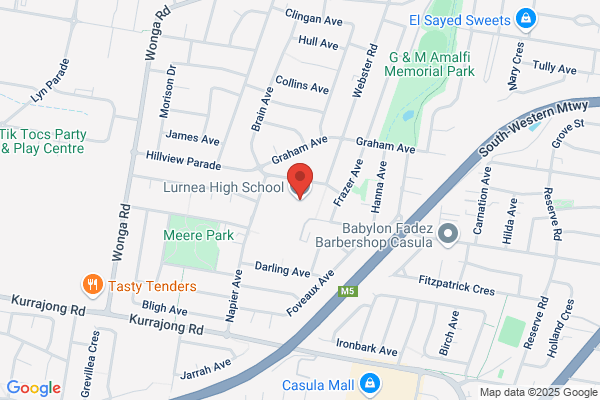 Lurnea High School