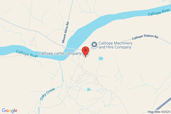 Calliope Cattle Co