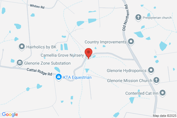 Camellia Grove Nursery