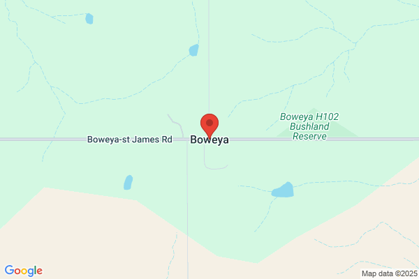 Jane & Friends of Boweya