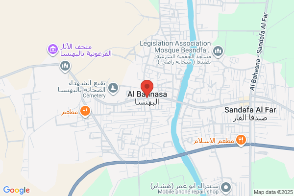 Bahnasawi, Zaher Dr