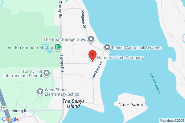 Hamilton Tree Care