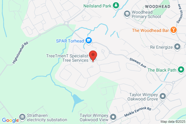 Hamilton Tree Surgeons