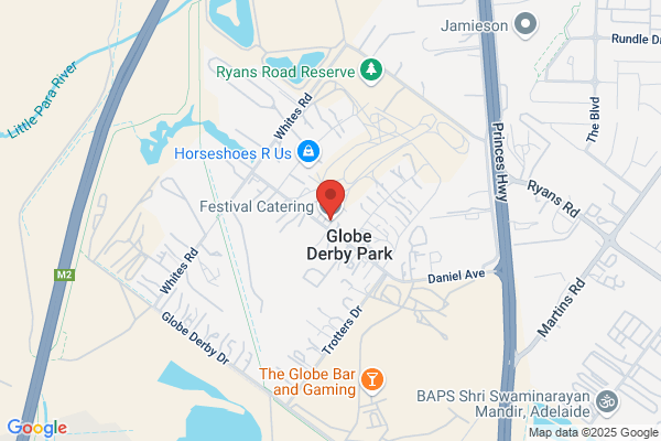 Festival Catering & Amusements