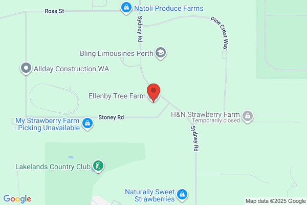 Ellenby Tree Farm