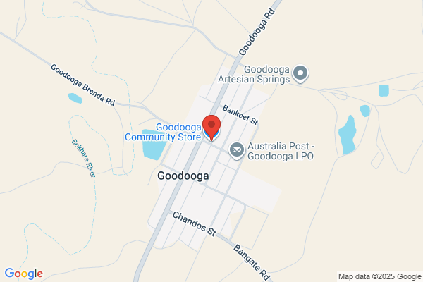 Goodooga Store
