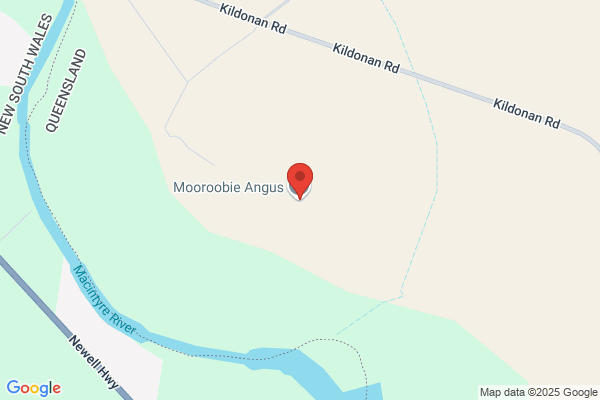 Mooroobie Angus