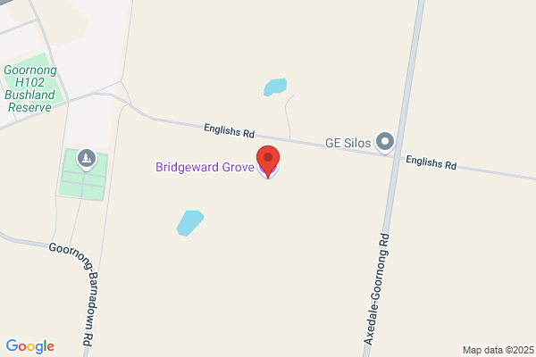 Bridgeward Grove