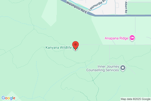 Kanyana Wildlife Rehabilitation Centre Inc