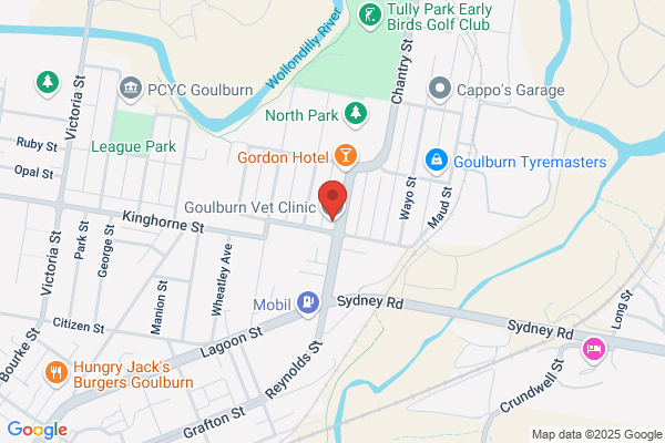 Goulburn Veterinary Clinic