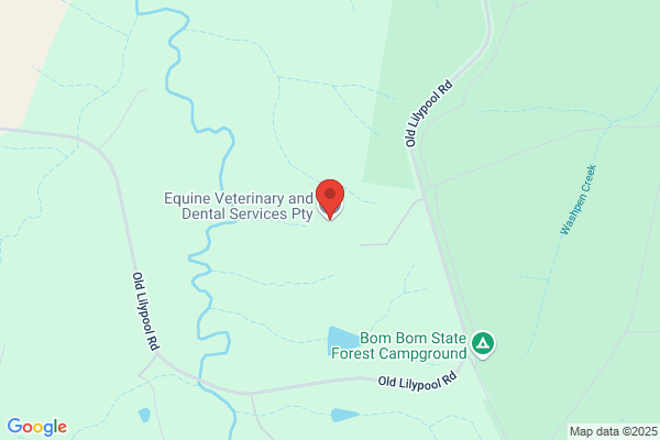 Equine Veterinary Dental Services