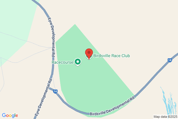Birdsvilles Races Tours
