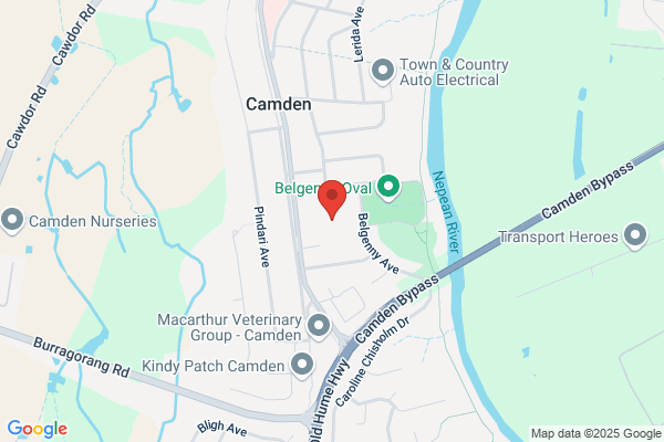 Camden South Primary