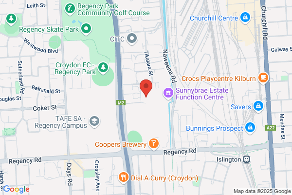 Adelaide Ice