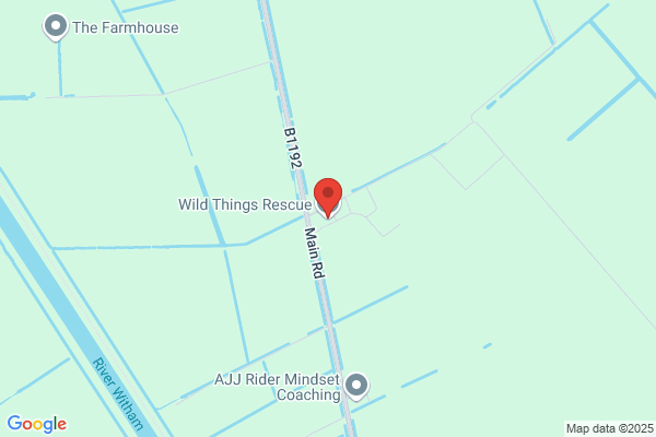 BADGAR Wildlife Rescue