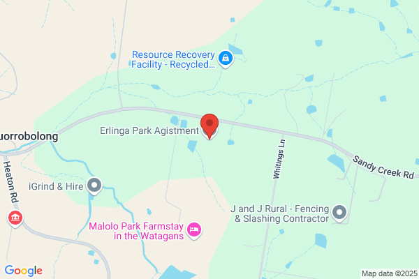Ilary Park Arabians & Agistment Centre